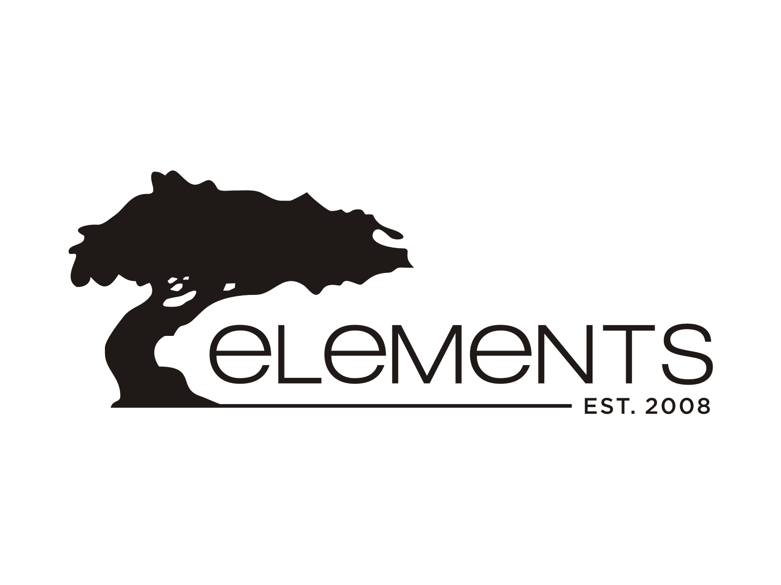 Elements Programs logo