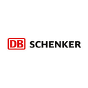 DSV logo