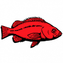 Pacific States Marine Fisheries Commission logo